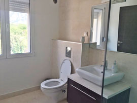 Shower room (example)