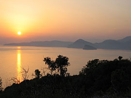 Evening view