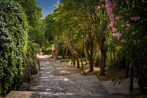 Herceg Novi park