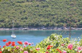 View from the villa